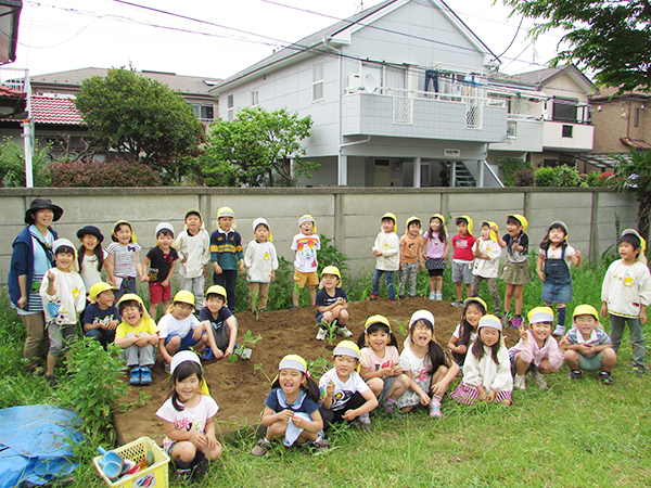 畑で年間通して野菜などを植え収穫しています