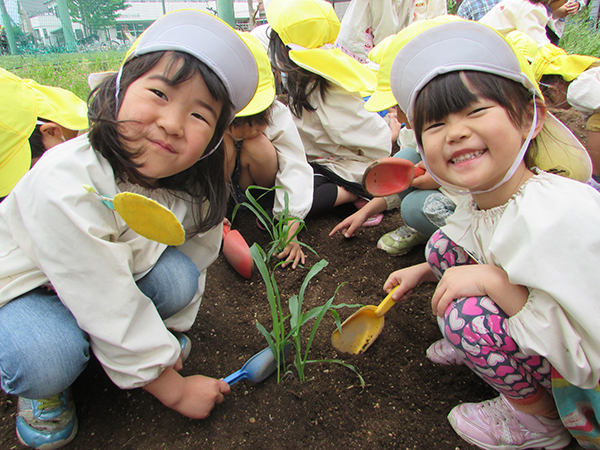 畑で年間通して野菜などを植え収穫しています