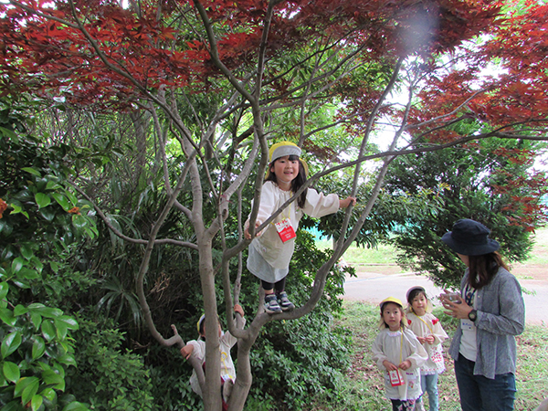 四季折々の自然遊びや虫探しをしています