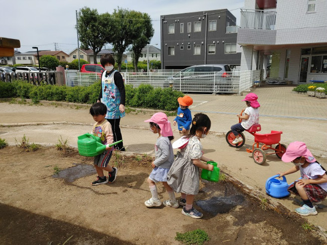 園庭に生えている草に水を撒いています。緑豊かな園庭と柔らかい土になれ！