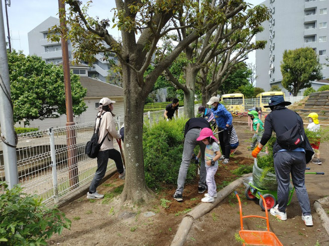 園庭の植栽を伐採し、静の空間への移植を行いました。園庭もこれから植物豊富にしたいです。