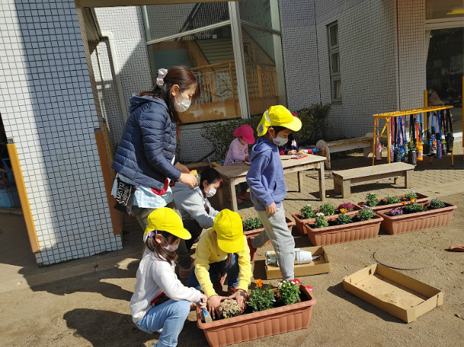 年長児がお花のお世話をしてます