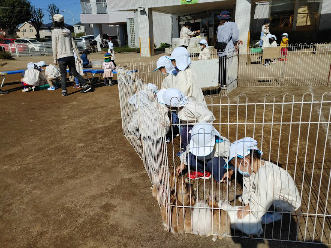 ふれあい動物園