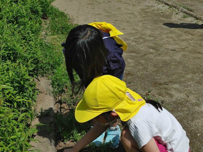 何を観察しているのかな？春の虫かな？