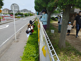 古い園看板の撤去作業中、お疲れ様でした