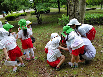 あっ、毒キノコかな！！何かが生えてる