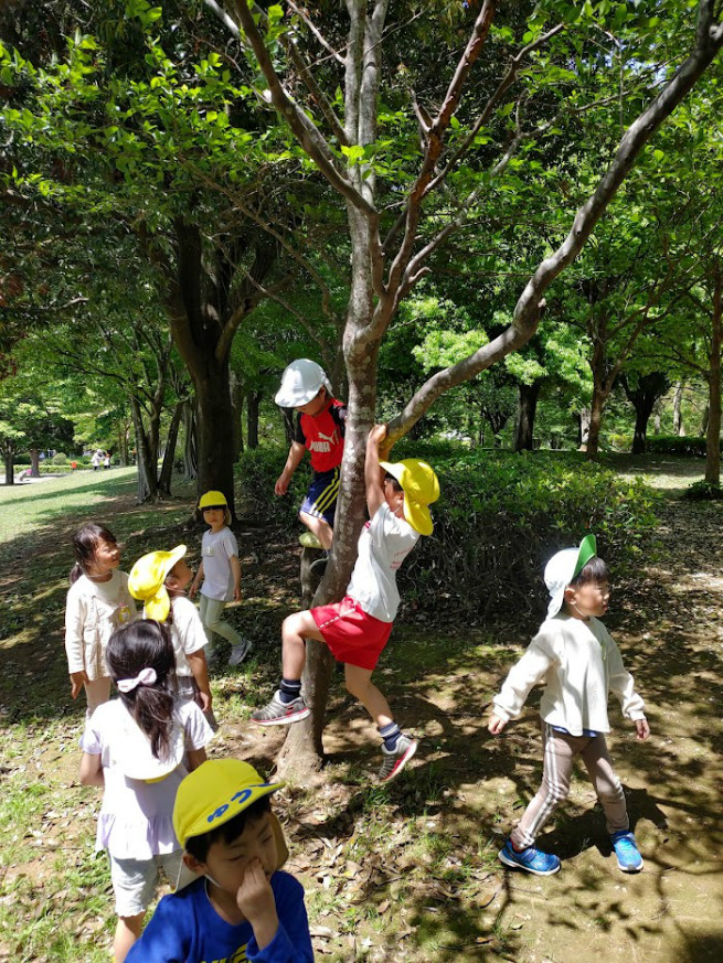 木登りも始めてしまいました