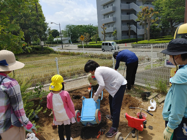 やまももとグミの苗を植えてます