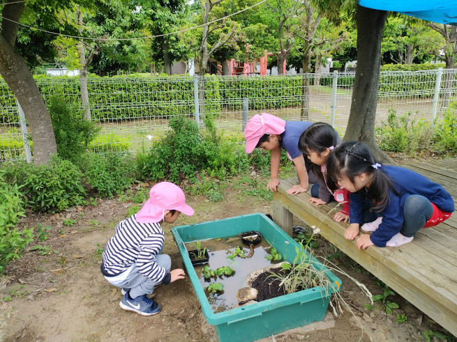 この池「何だろう？」