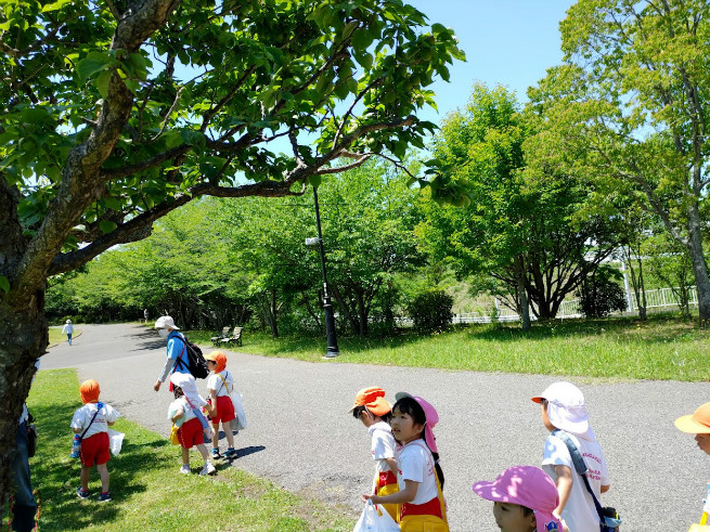 上には梅の木、梅がなっていました。うめぐみ＝うめ偶然です