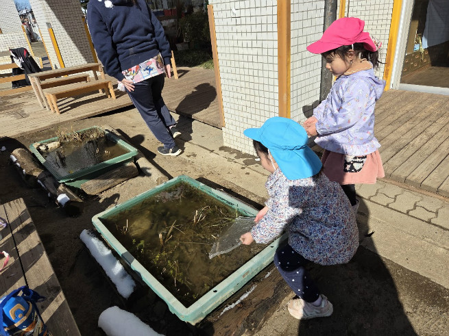 氷って不思議ですよね！！
