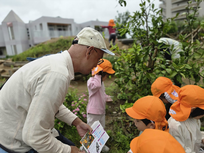 みかんのどこに幼虫が？
