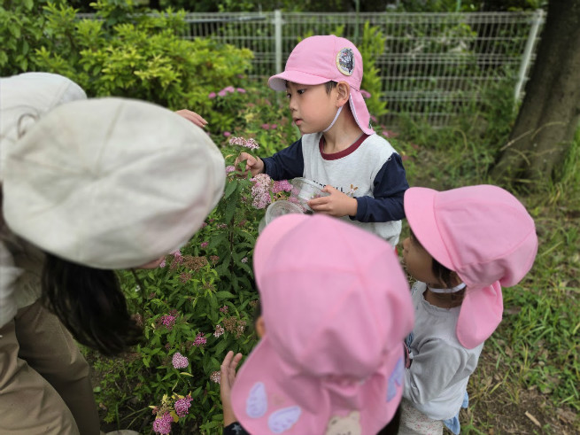 幼虫はどこにいるかな