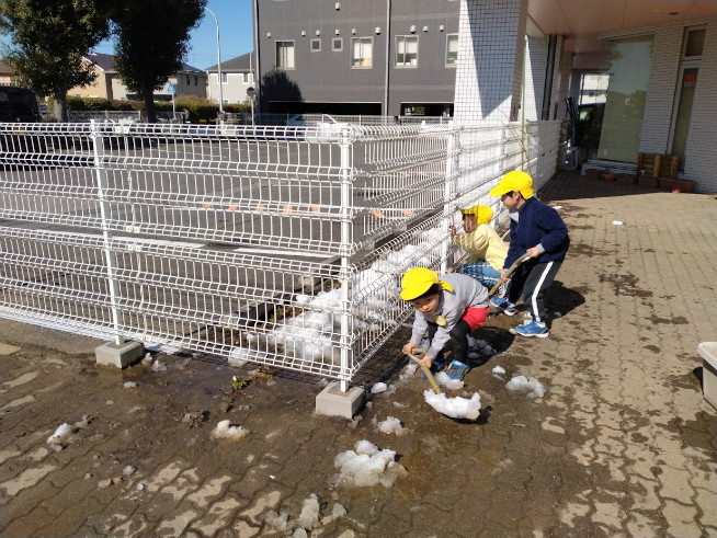 駐車場から雪を運び出す年長組