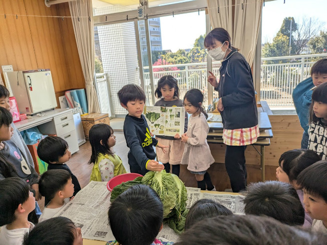 野菜の断面は図鑑で調べて見ると
