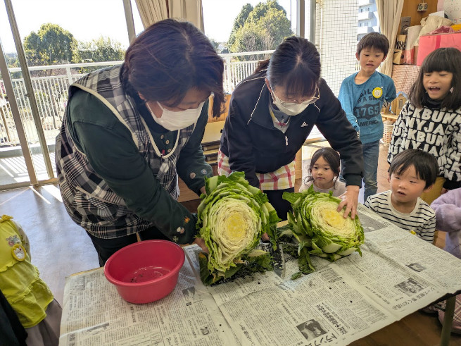先生が断面を切ってみると