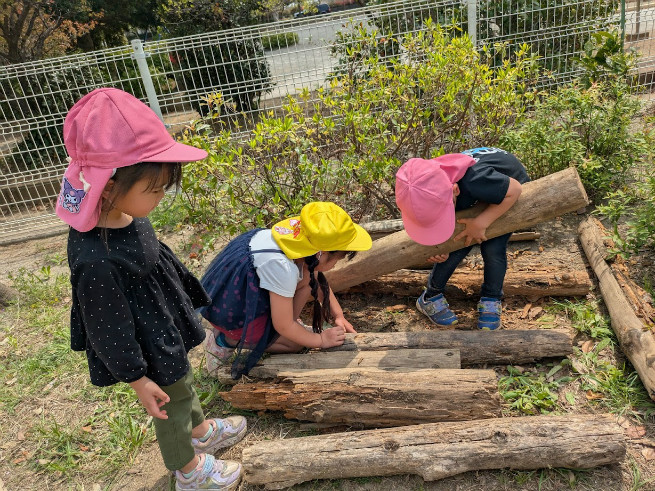 丸太の下にダンゴムシが？