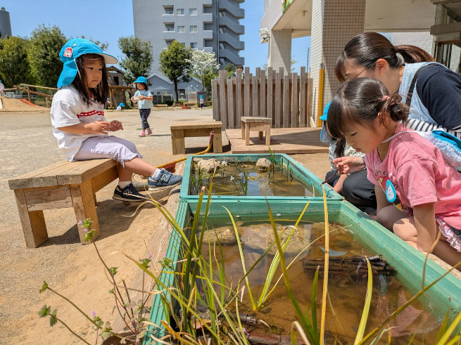 稚魚の姿、見えるかな？