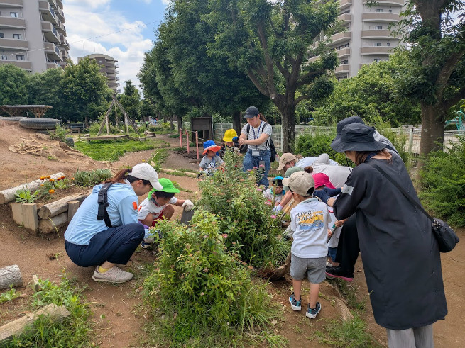 植栽の風景（親子で花を植えるための準備）