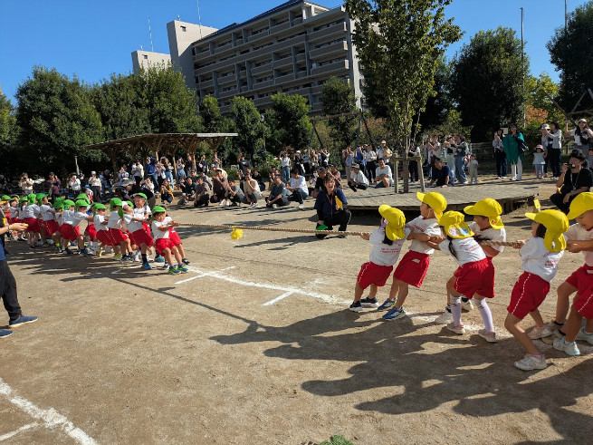 クラスごとの綱引き、勝ち負けのくやしさ覚えます
