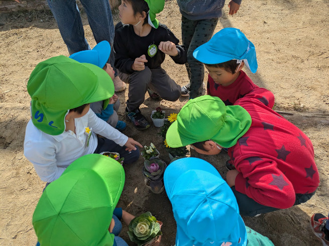 まずは苗の観察から（手触り、におい）五感を大事に