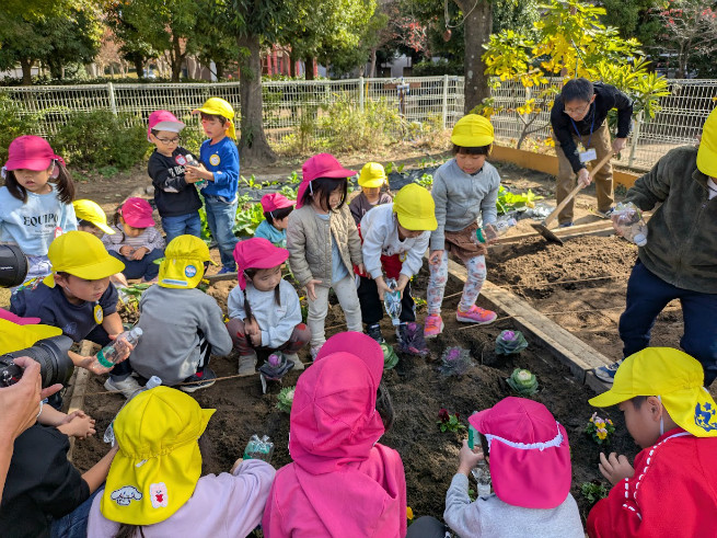 年長組がリードして年少組と植えます